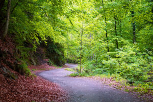 Ghid turistic al parcurilor naturale din judeţul Vâlcea